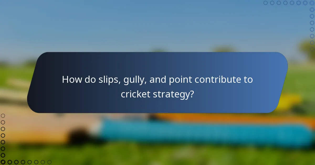 How do slips, gully, and point contribute to cricket strategy?