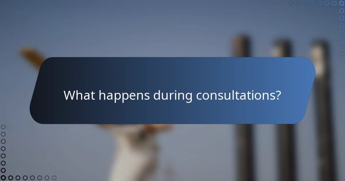 What happens during consultations?