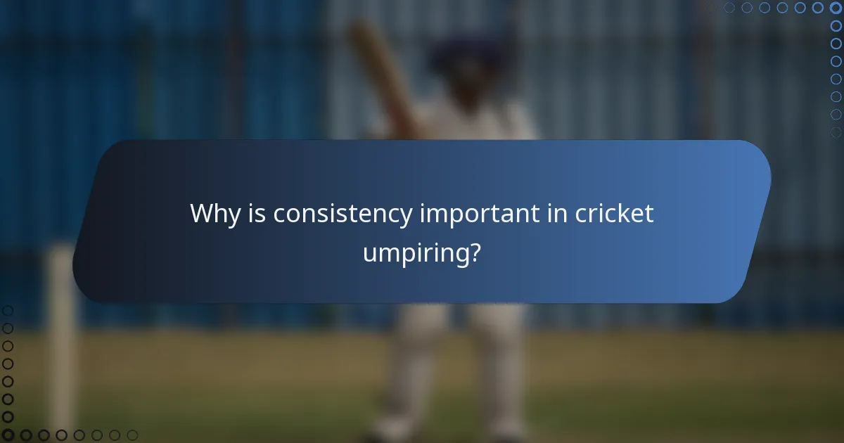 Why is consistency important in cricket umpiring?