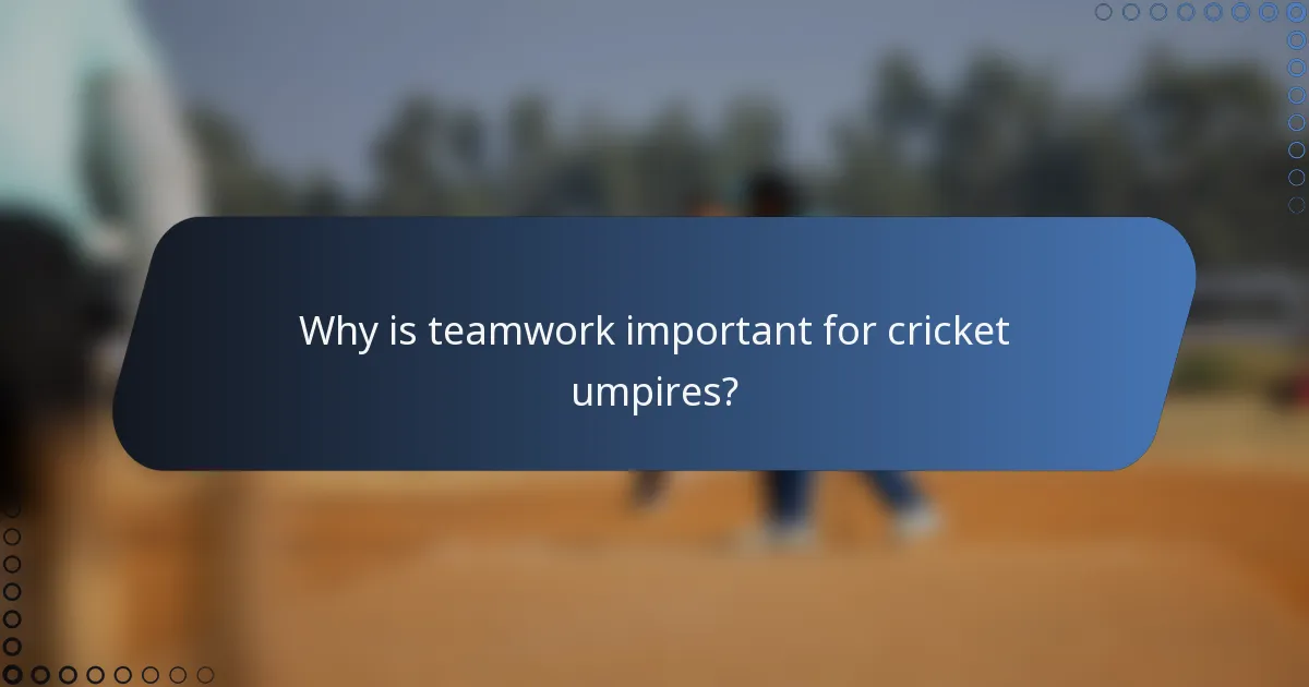 Why is teamwork important for cricket umpires?